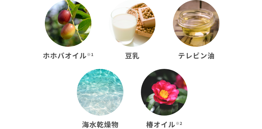 ホホバオイル※1 / 豆乳 / テレビン油 / 海水乾燥物 / 椿オイル※2