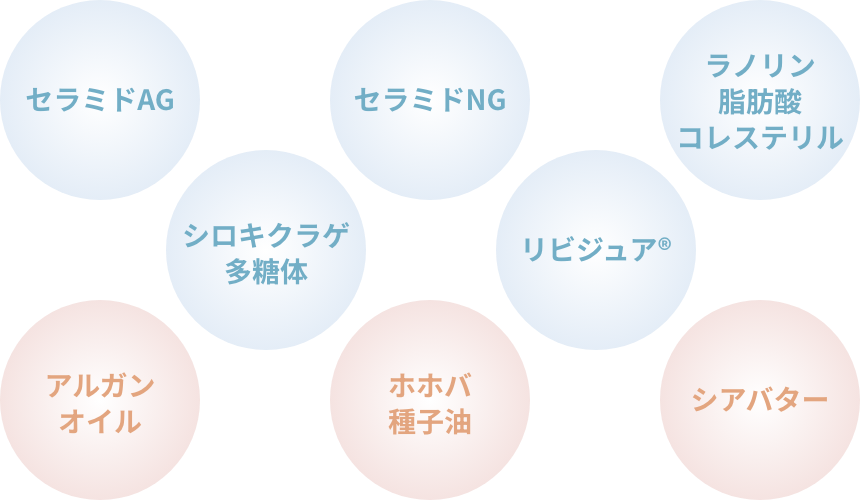 セラミドAG / セラミドNG / ラノリン脂肪酸コレステリル / シロキクラゲ多糖体 / リビジュア® / アルガンオイル / ホホバ種子油 / シアバター