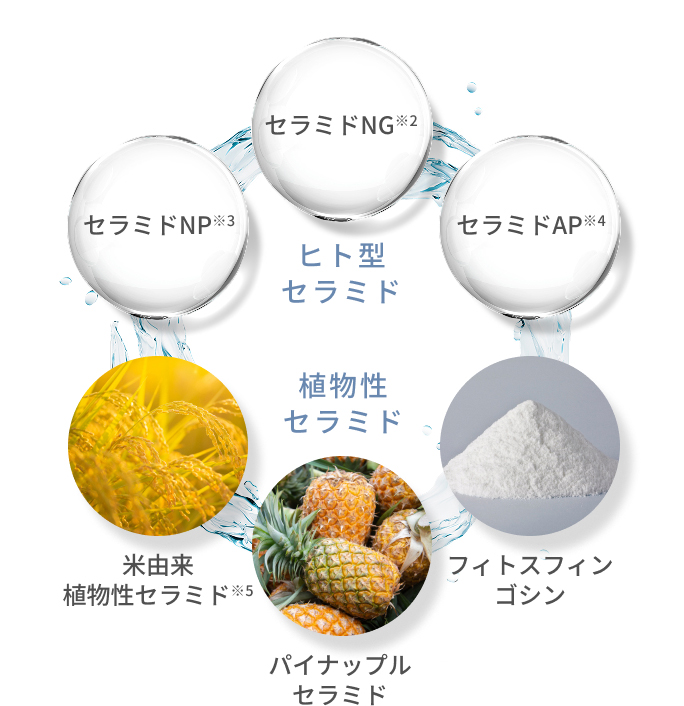 ヒト型セラミド - セラミドNG※2 / セラミドNP※3 / セラミドAP※4 : 植物性セラミド - 米由来植物性セラミド※5 / パイナップルセラミド / フィトスフィンゴシン